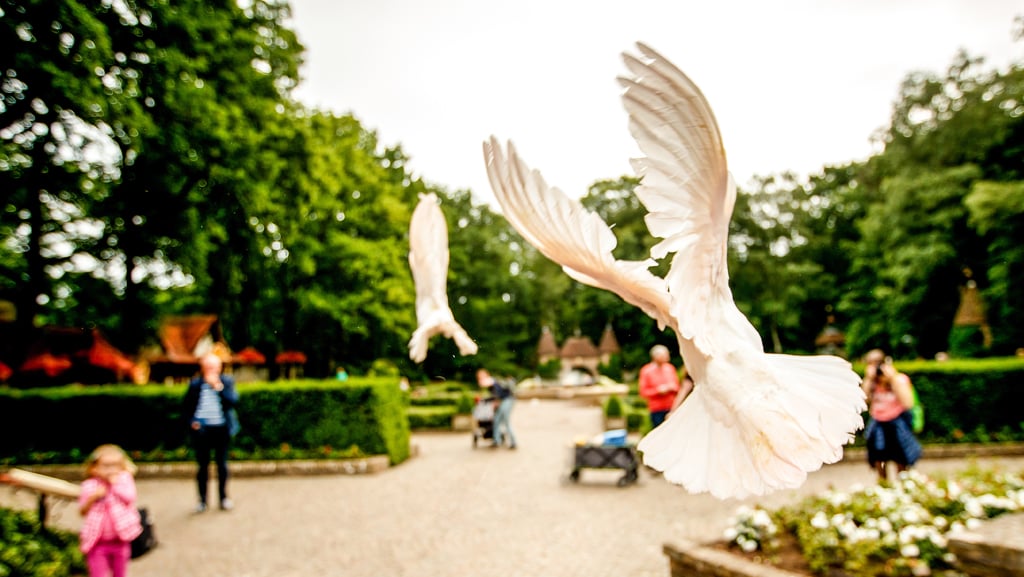 Het Bruidskleed van Genoveva